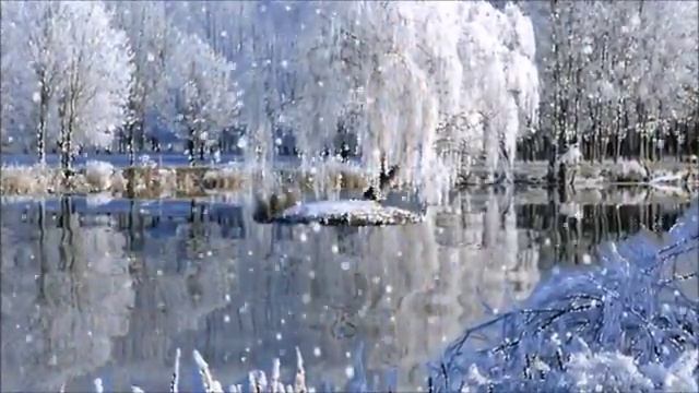 КО ДНЮ РОЖДЕНИЯ СЕРГЕЯ ГРЕБЕННИКОВА. ЛЮБОВЬ ВОСКРЕСЛА НАВСЕГДА! смотреть онлайн