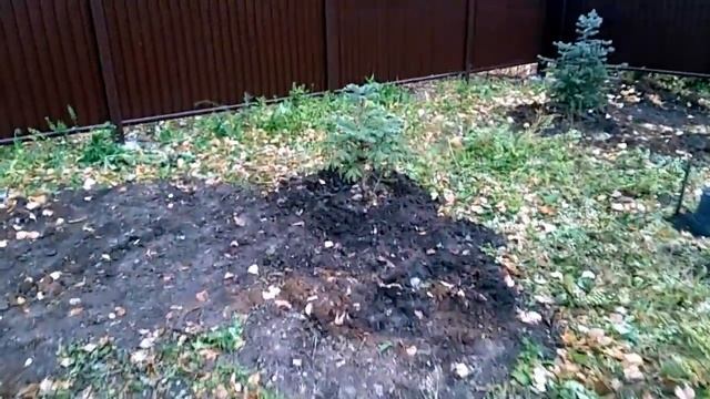 Стройка. Туалет типа сортир. Осенние работы на участке. смотреть онлайн