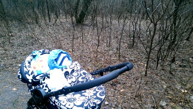 Ну и что, что белки спят, нам и так весело! смотреть онлайн