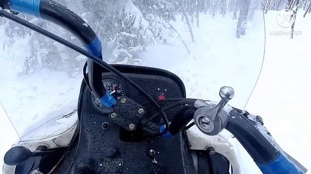 Тофалар 500. Экспедиция ,, Большой Алтайский круг”.