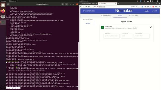 Netmaker Tutorial смотреть онлайн