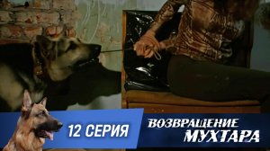 «Возвращение Мухтара»: «Запах женщины» (1 сезон. 12 серия)