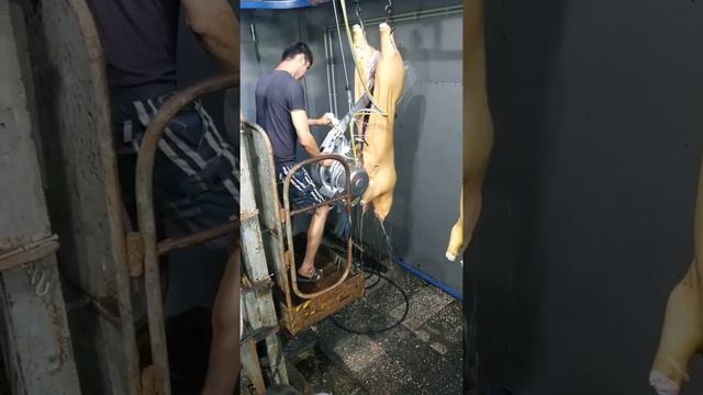 Ленточная пила BUSTER IV для распила на полутуши смотреть онлайн