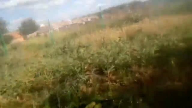 Капельный полив - это очень просто! Видео для сомневающихся )))