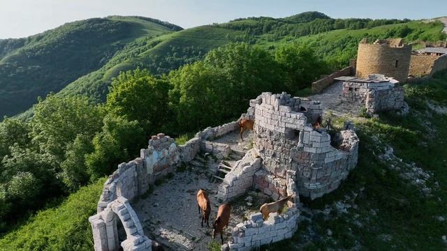 Геленджик глазами птиц. Видео фон / видео заставка / фоновое видео смотреть онлайн