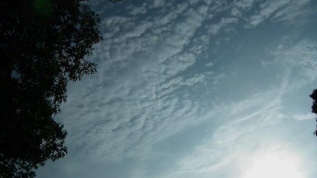 Wide angle view from my back deck and front porch, Fujifilm HS10 camera смотреть онлайн