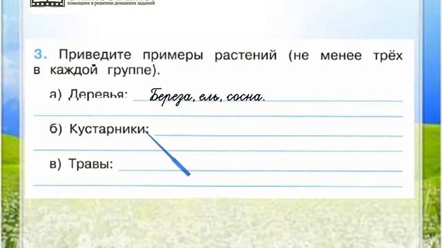 Задание 3 Какие бывают растения - Окружающий мир 2 класс (Плешаков А.А.) 1 часть смотреть онлайн