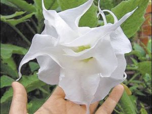 Прогулка с «Южный колорит»