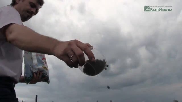 Применение удобрений 'Бионекс 1' и 'Куриный помет'