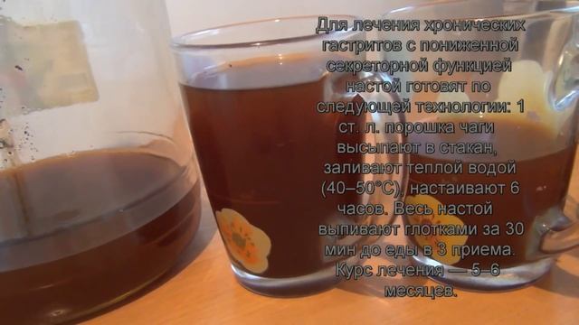 Чага !!! Настой чаги по науке правильный рецепт приготавливаем в домашних условиях