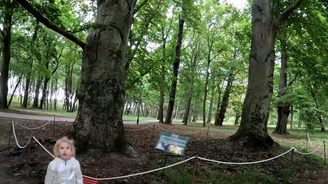 Янтарный- прогулка по столице янтаря