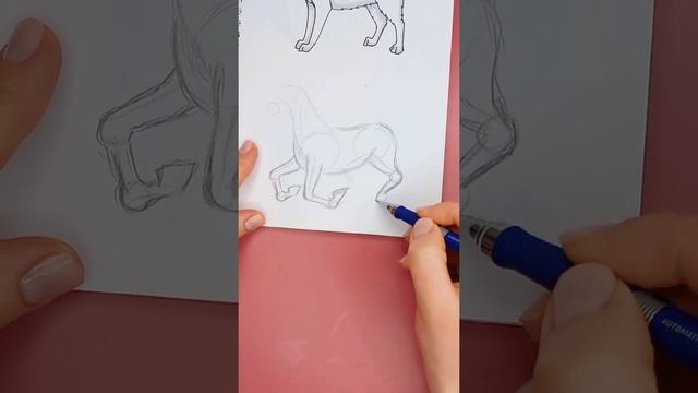 рисую лошадь #рисую #рисуюлошадь смотреть онлайн