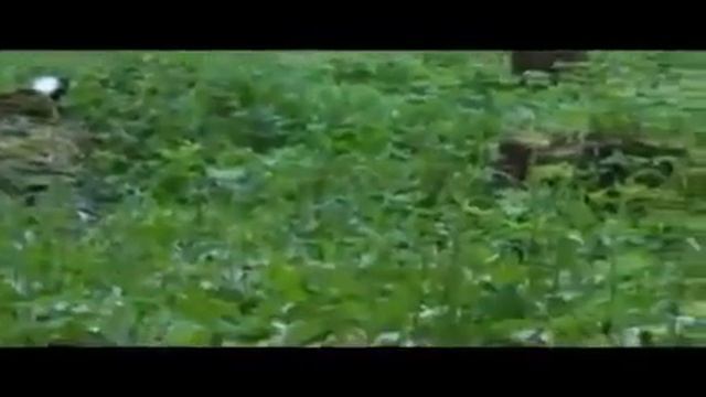 Клубный день ПК "Серебрянка" М2 смотреть онлайн