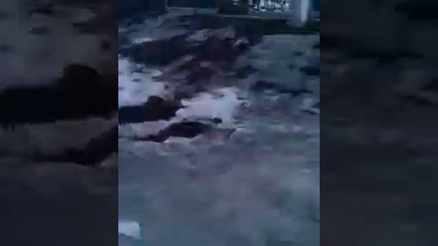 Воронеж Город Куража смотреть онлайн
