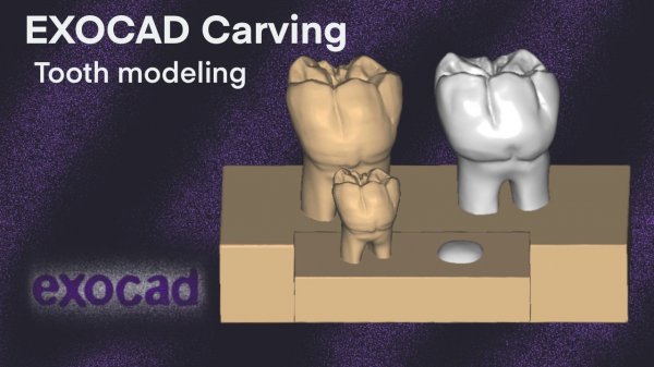 Exocad Carving I Tooth modeling