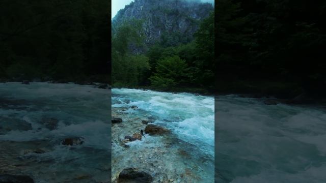 Река Гега. смотреть онлайн