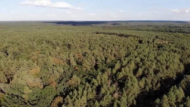 СХИАРХИМАНДРИТ ВИТАЛИЙ СИДОРЕНКО. ЛУЧШИЕ НАСТАВЛЕНИЯ НА КАЖДЫЙ ДЕНЬ! смотреть онлайн