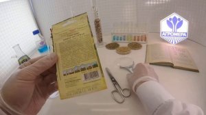 Томат черри Вишня янтарная. Гавриш