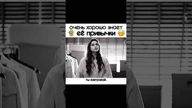 Очень хорошо знает её привычки #зимородок #seyfer #сейфер смотреть онлайн