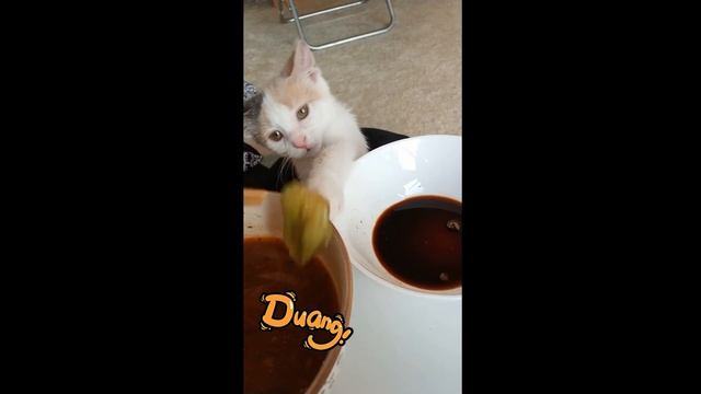 Nuonuo tried to steal from me смотреть онлайн