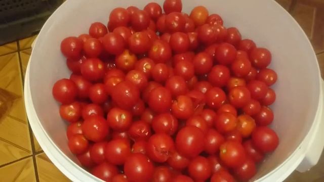 Помидоры Черри Заморозка смотреть онлайн