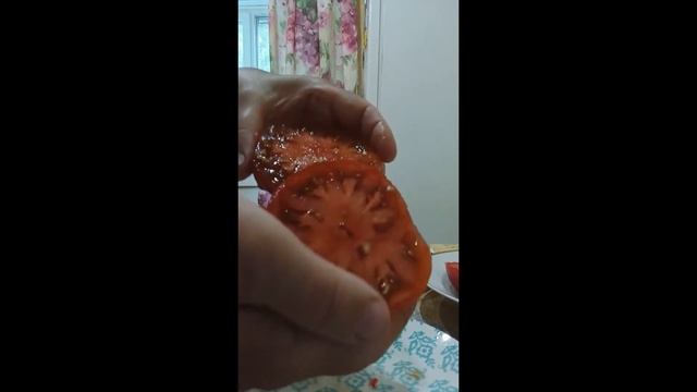 Обзор томатов в разрезе и на вкус: Красная немецкая клубника, Совершенная хурма Юко и еще 4 сорта смотреть онлайн