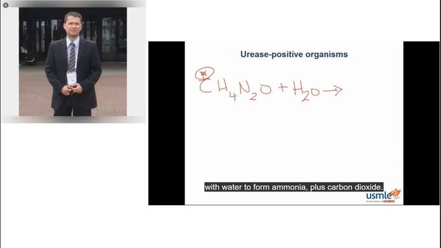 USMLE_Step_1 – Lesson 2 (2nd Course, 2nd Semester).mp4