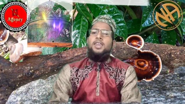 #Manqabate_Gause_Azam r.z by Tauqeer Raza Dinajpuri?منقبت غوث اعظم?شاعراسلام محمدتوقیررضادیناجپوری смотреть онлайн