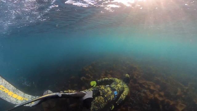 Insta360 X3 INVISIBLE Dive Case 🦈 UNDERWATER Footage, Is it All Hype? 🌊 смотреть онлайн