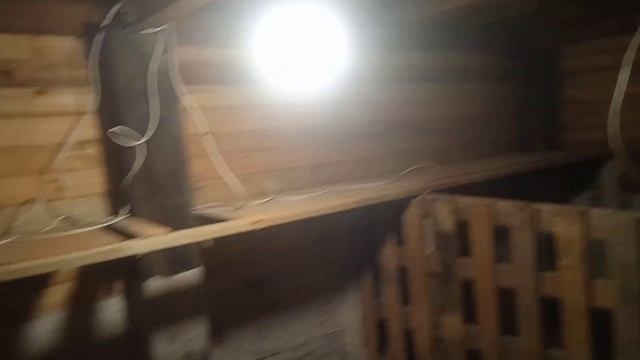 Обзор свинарника со свинками! смотреть онлайн