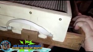 Дополнительный Лоток в Инкубатор Блиц