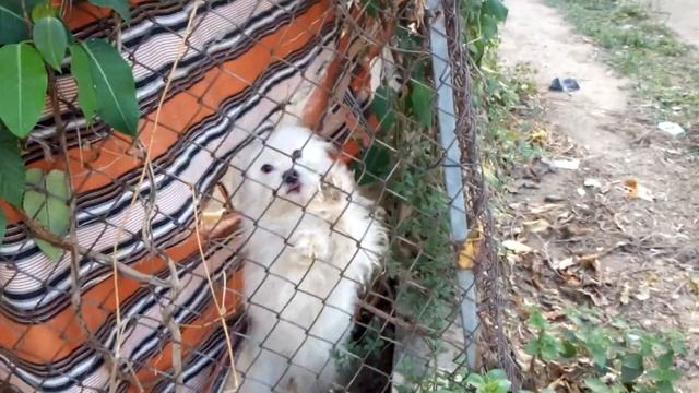 Нигерия. Улица на которой мы живём. смотреть онлайн