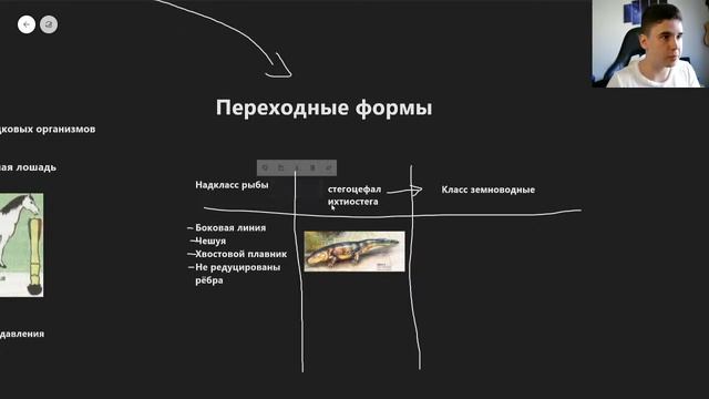 BioFamily | ДОКАЗАТЕЛЬСТВА ЭВОЛЮЦИИ | ЕГЭ 2020