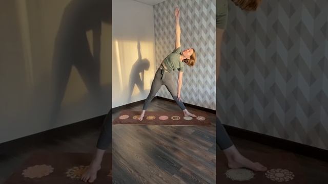 Асаны для начинающих. Триконасана, поза треугольника смотреть онлайн