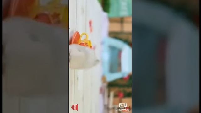 Kfihfi karisma suki tak pesi owl oral oru prem pesi udal edho to idho tell udalai смотреть онлайн