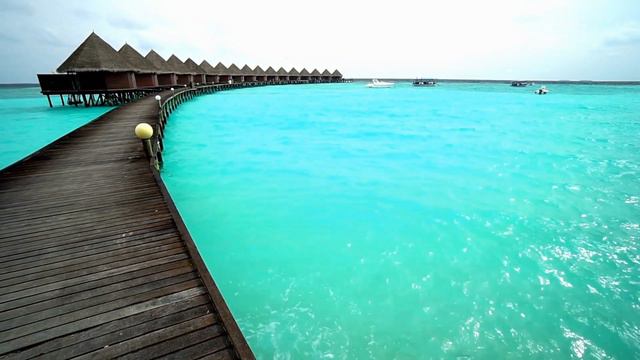 ASOMBROSO MAR DE ESTRELLAS en las ISLA MALDIVAS. FENOMENO MAGICO смотреть онлайн