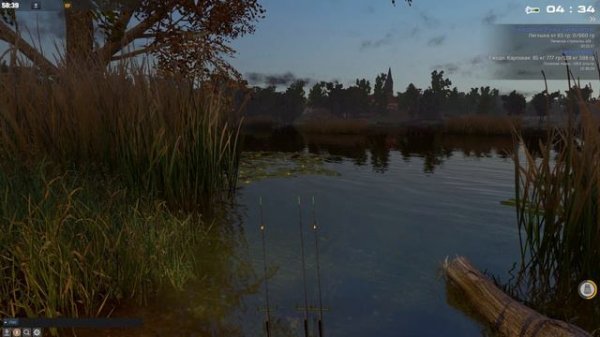 Fisher Online Чехия - Густера. Трофейное место. Czech Republic.