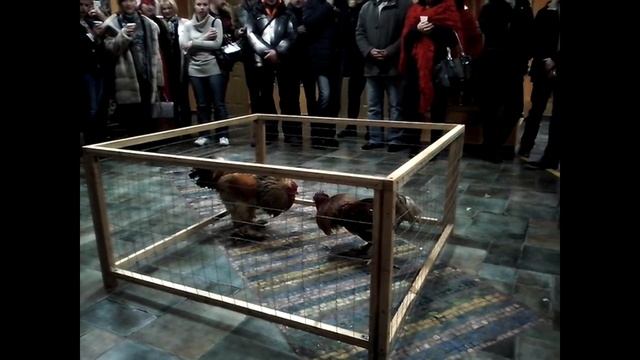 Петушиные бои на ваш праздник
Приглашения на мероприятия: +7 (926) 6012059 (WhatsApp), Дмитрий. смотреть онлайн
