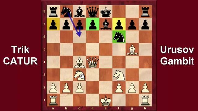 Trik CATUR MASTER Dunia Urusov Gambit Accepted смотреть онлайн