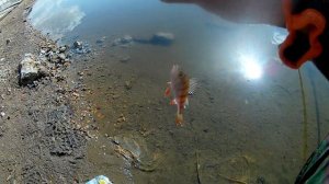 Кейрю  - Поплавок, 0-7