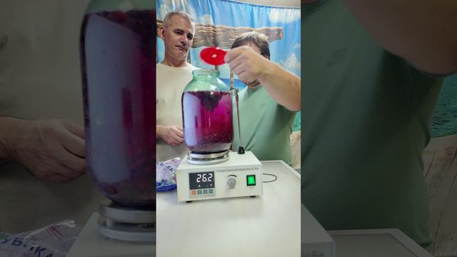 Белгородский винокур II