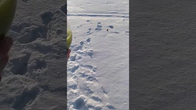 Нельзя совмещать это и это, а я совмещу! смотреть онлайн