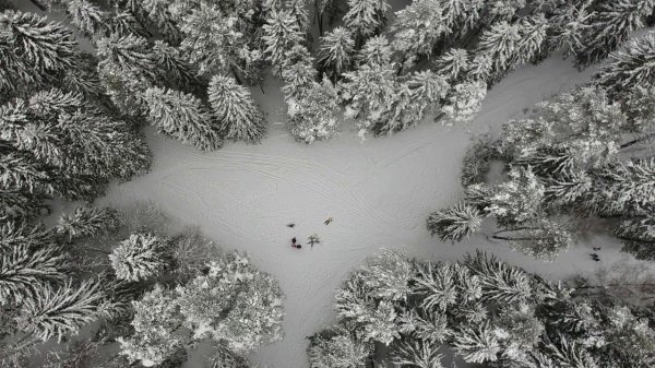 Ёлки Moloko - The Time Is Now (Bambino Casino Mix)