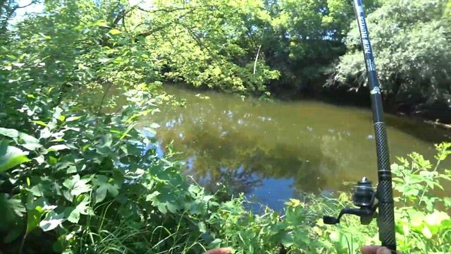 Летняя рыбалочка 2022 - часть 1 | Блог из деревни "В гостях у Владимира" смотреть онлайн