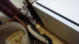 Вывод в инкубаторе Норма Урал