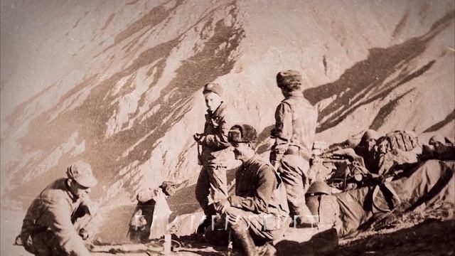 Как Кобра Казаху Жизнь Спасла смотреть онлайн