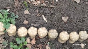 4 идеи для ограждения клумб из подручных средств своими руками