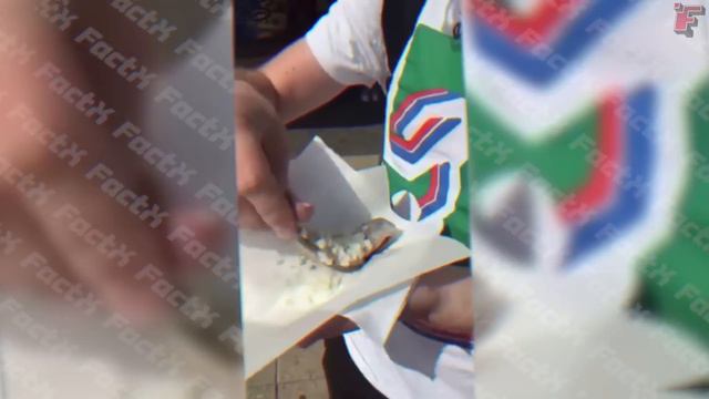 Невероятные и Смешные Моменты с Животными смотреть онлайн
