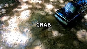 Traxxas TRX4 1979 FORD Bronco RC Crawler WATER TRACK Performance