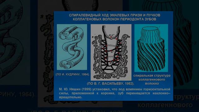 ПОСВЯЩАЕТСЯ ПАМЯТИ ПРОФЕССОРА ИЛЛАРИОНА ПОСТОЛАКИ смотреть онлайн